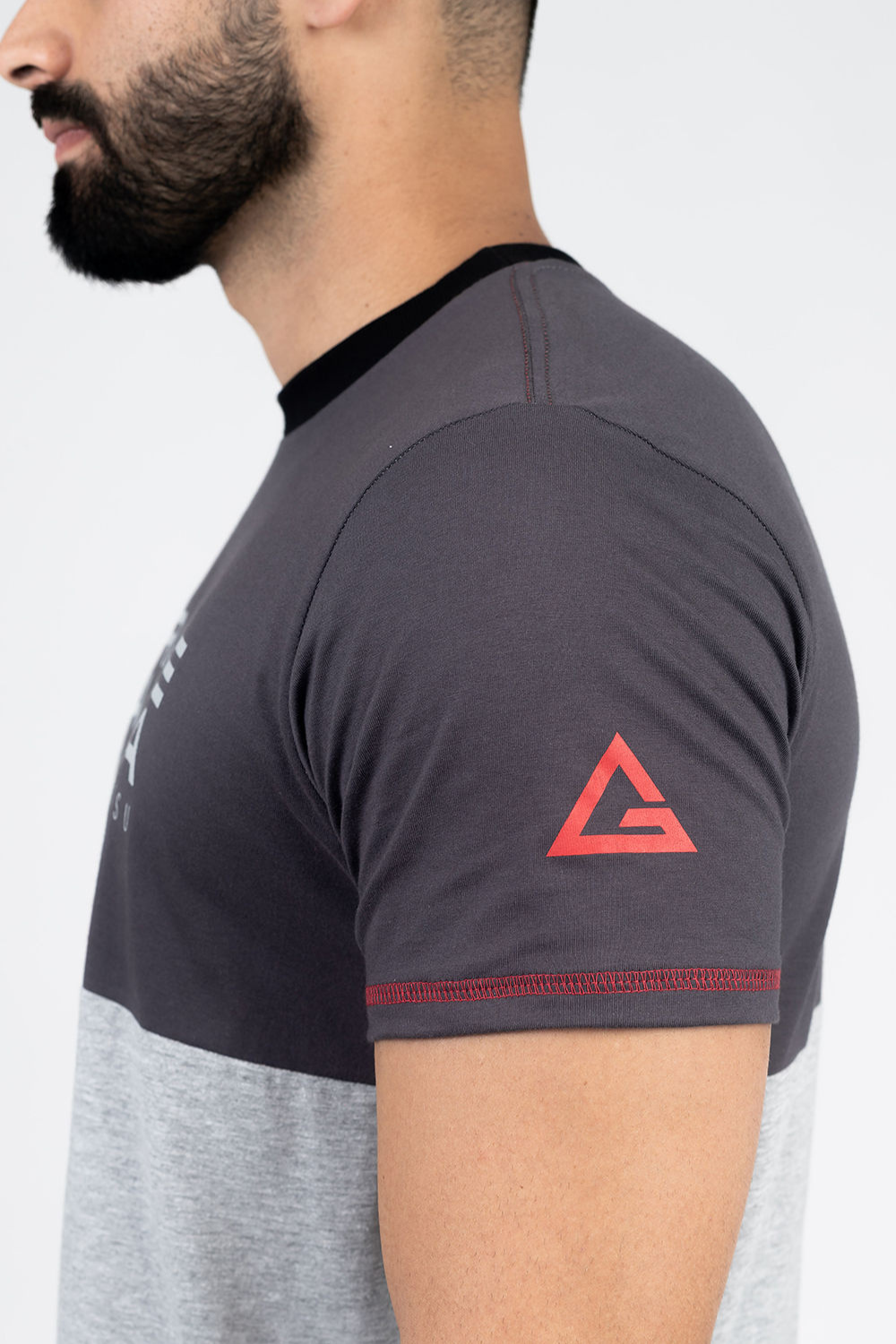 Camiseta Colorblock - Cinza