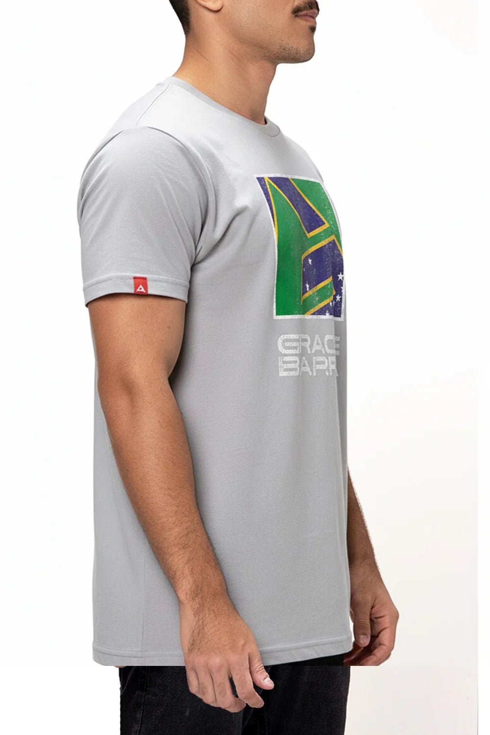 Camiseta Legado BRA V3 - Cinza