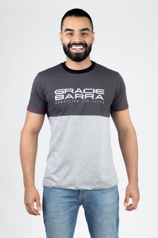 Camiseta Colorblock - Cinza